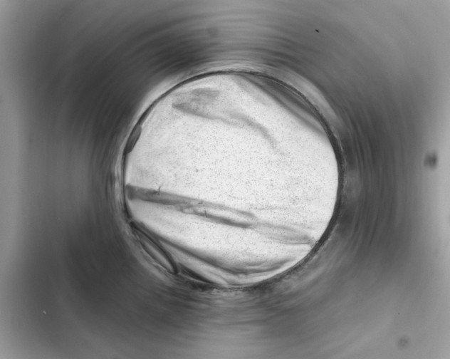 X0000101961242200808151308