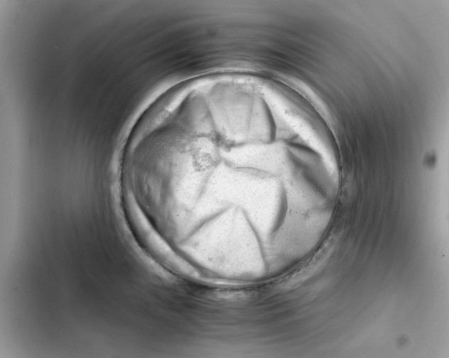 X0000101961243200808151308