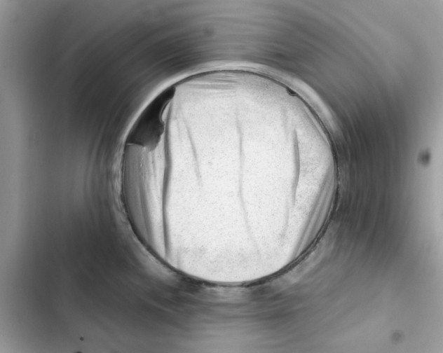 X0000101961244200808151308