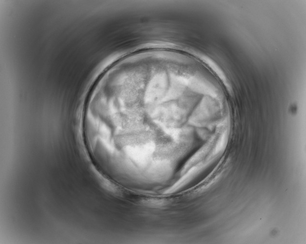 X0000101961245200808151308