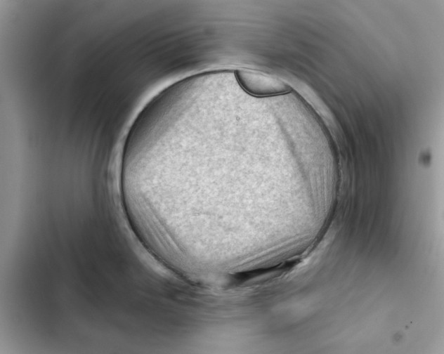 X0000101961246200808151308