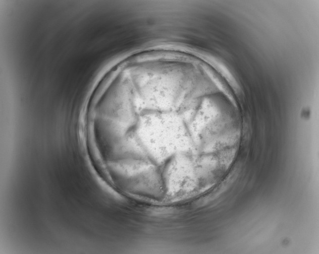 X0000101961247200808151308