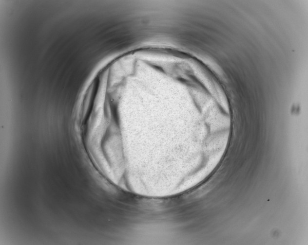 X0000101961248200808151308