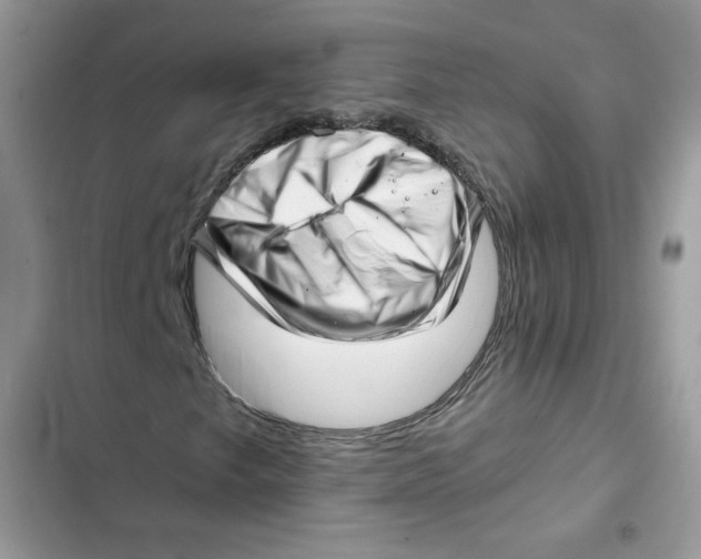 X0000101961249200808151307