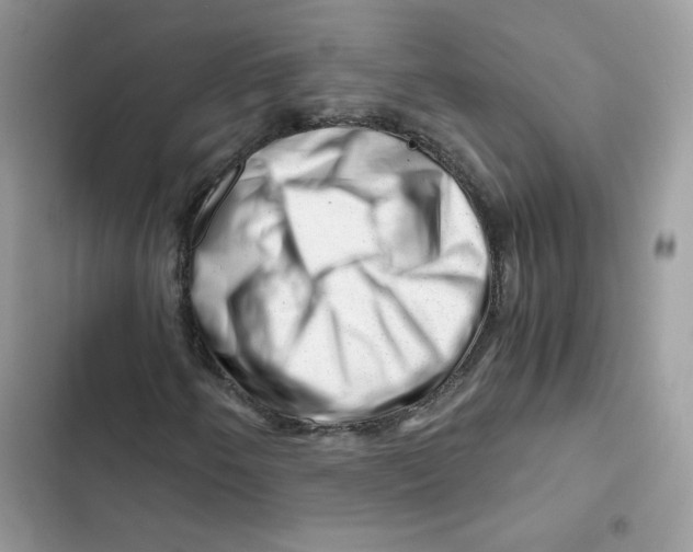 X0000101961250200808151307