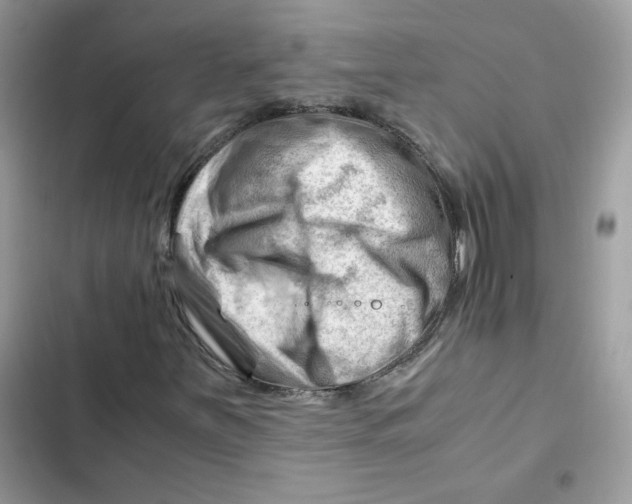 X0000101961251200808151307