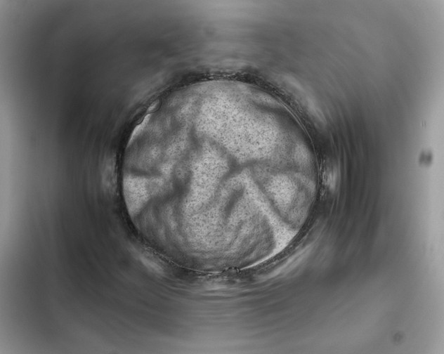 X0000101961252200808151307