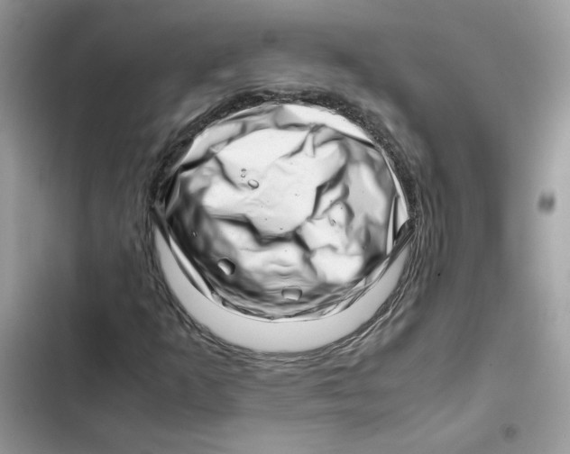 X0000101961253200808151307