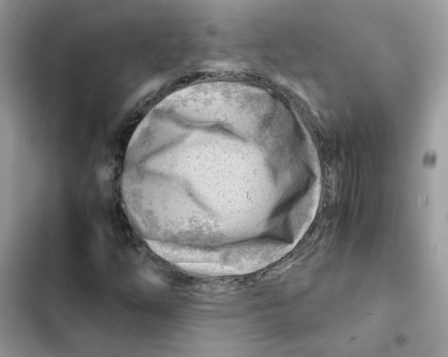X0000101961254200808151307