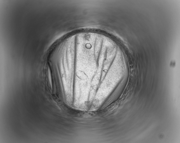 X0000101961255200808151307