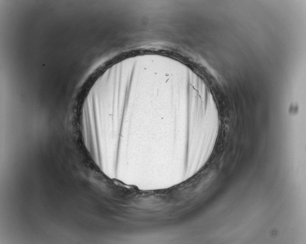X0000101961256200808151307