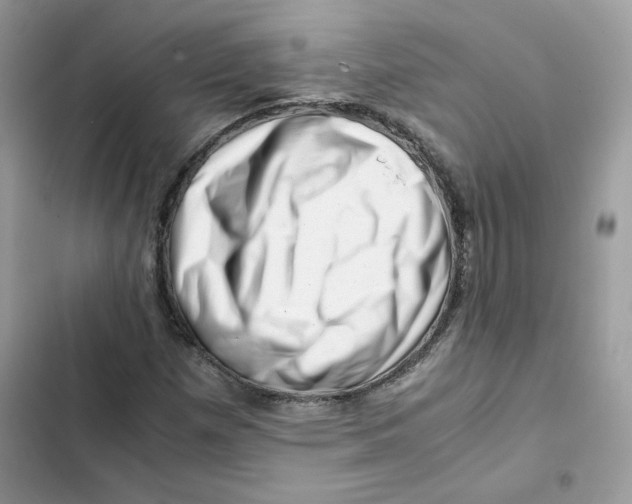 X0000101961257200808151307