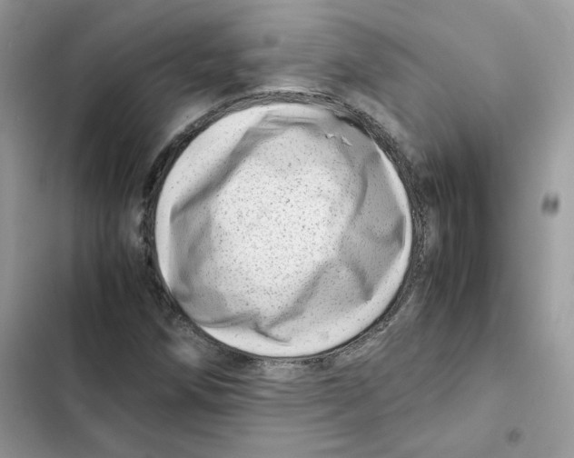 X0000101961258200808151307