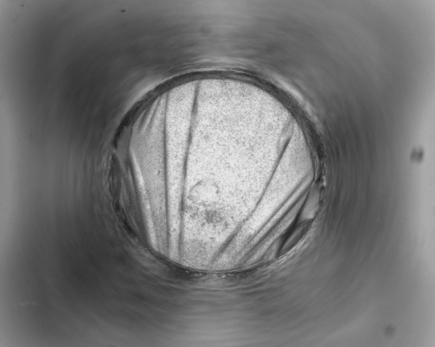 X0000101961259200808151307