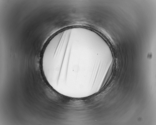 X0000101961260200808151307
