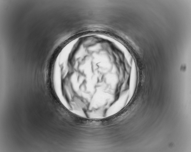 X0000101961261200808151307