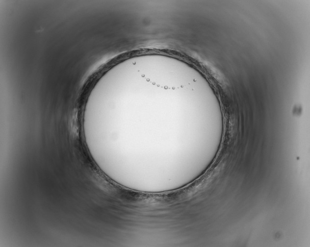 X0000101961262200808151307