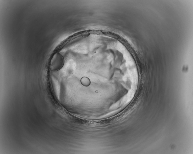 X0000101961263200808151307