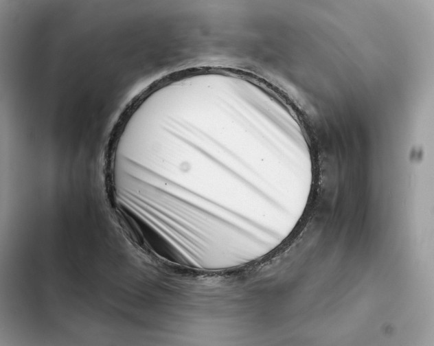 X0000101961264200808151307