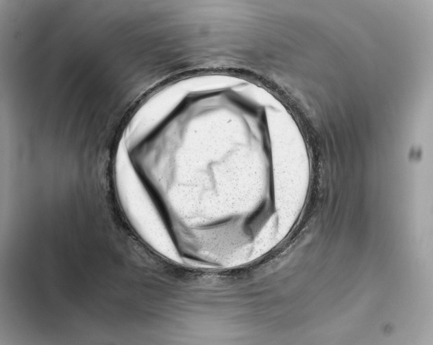 X0000101961265200808151307