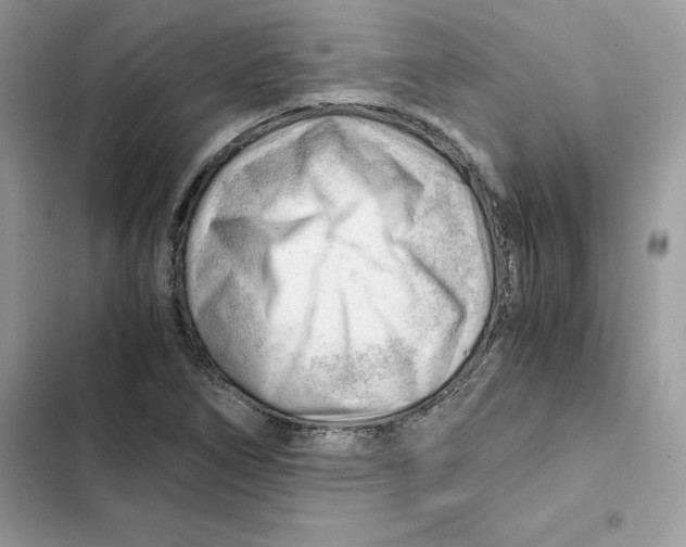 X0000101961266200808151307