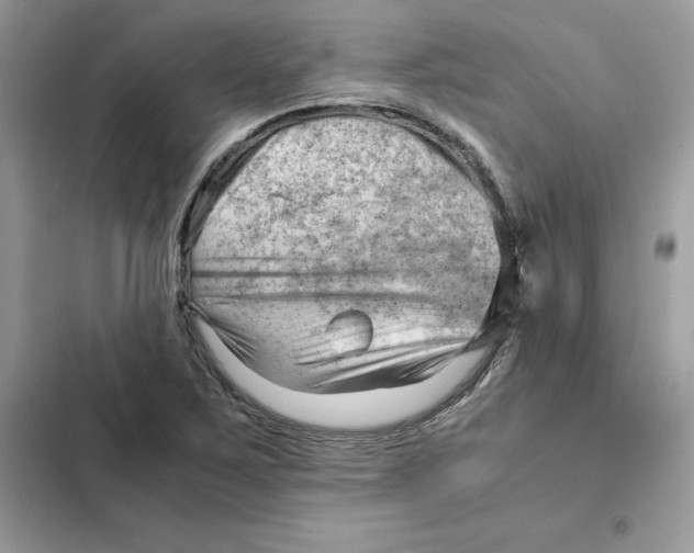 X0000101961267200808151307
