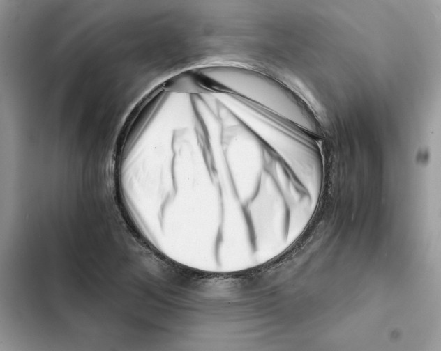 X0000101961268200808151307