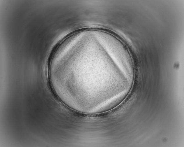 X0000101961269200808151307
