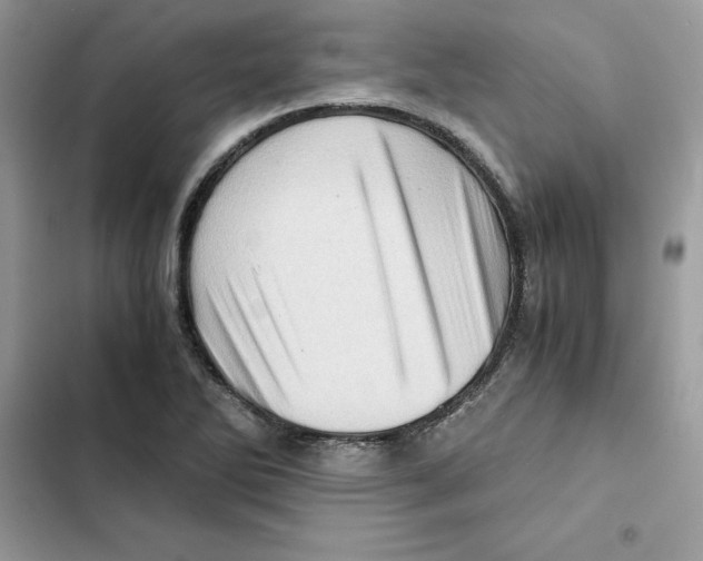 X0000101961270200808151307