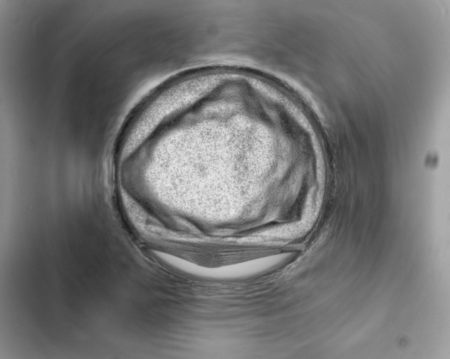 X0000101961271200808151307