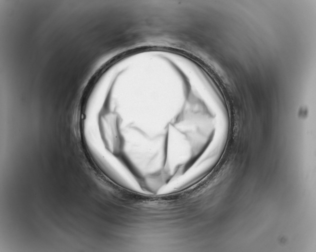 X0000101961272200808151307