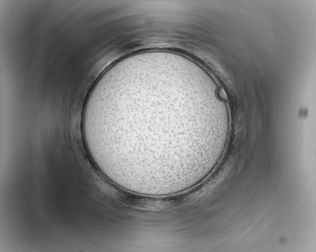 X0000101961273200808151307