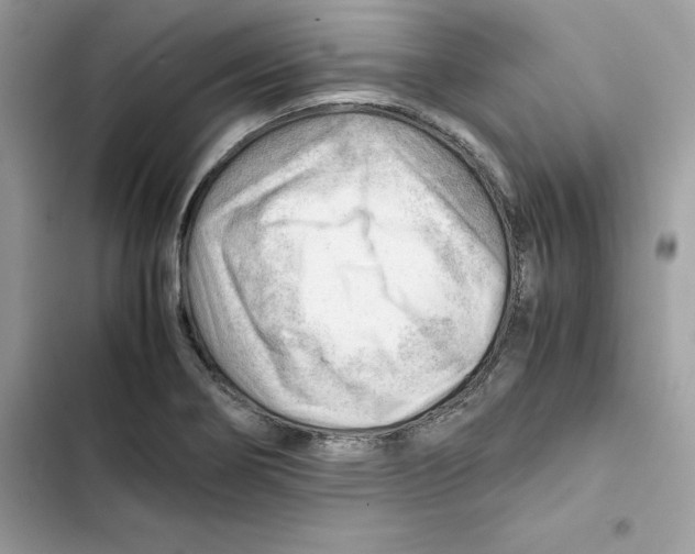 X0000101961274200808151307