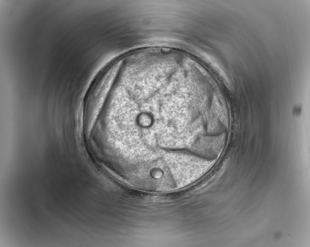 X0000101961275200808151307