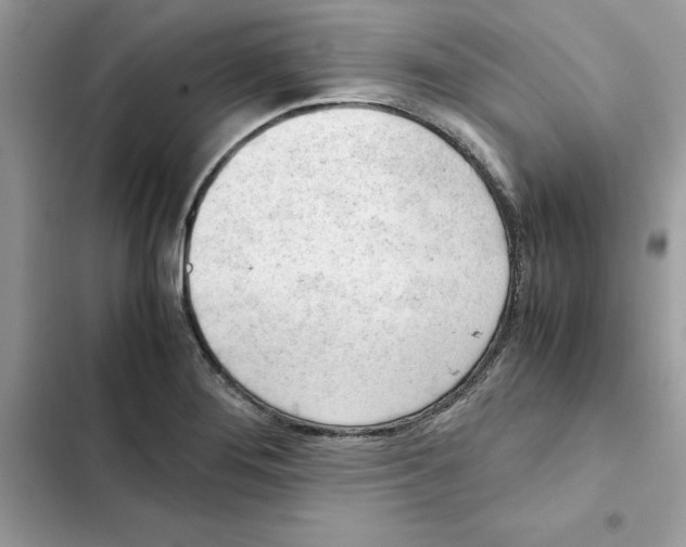 X0000101961276200808151307
