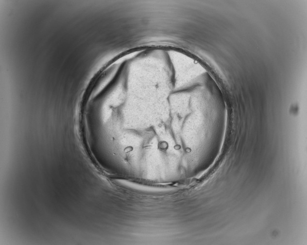 X0000101961277200808151307