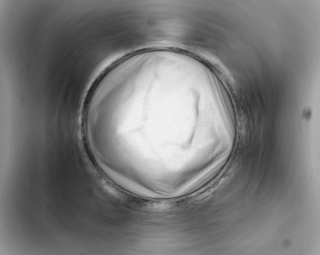 X0000101961278200808151307