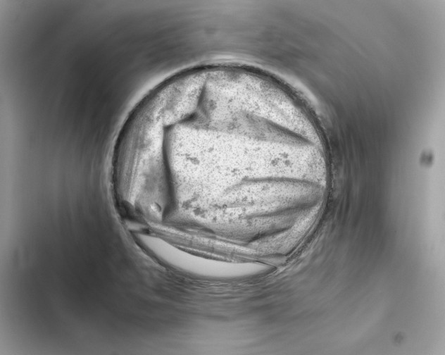 X0000101961279200808151307