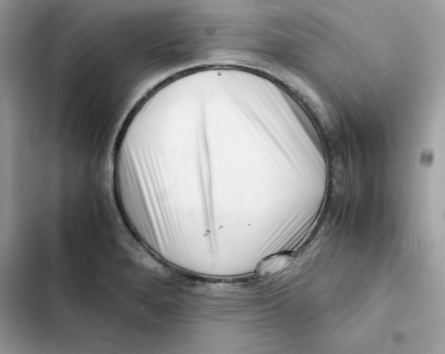 X0000101961280200808151307