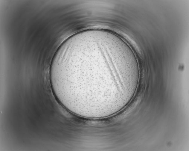 X0000101961281200808151307