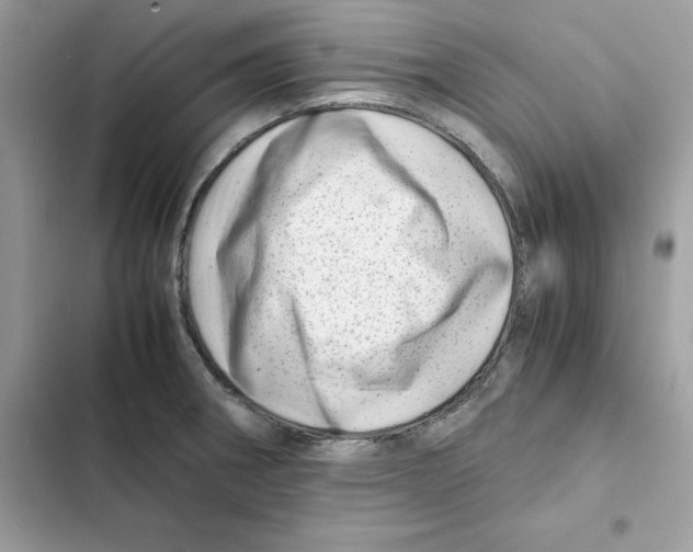 X0000101961282200808151307