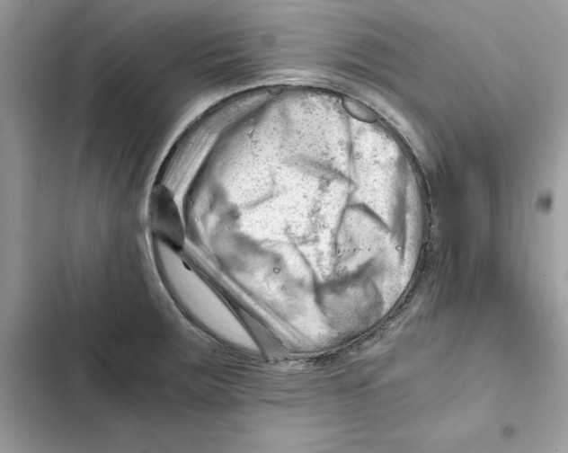 X0000101961283200808151307