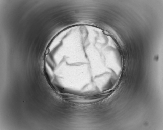 X0000101961284200808151307