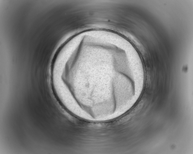 X0000101961286200808151307
