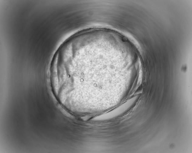 X0000101961287200808151307