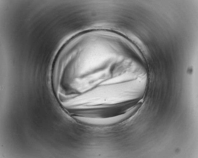 X0000101961288200808151307