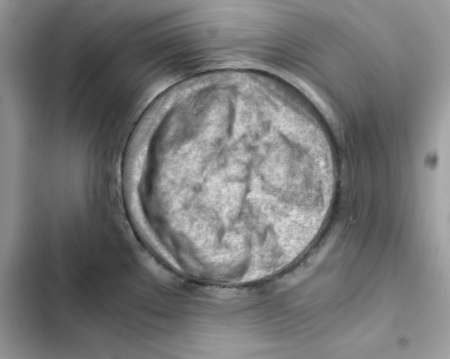 X0000101961289200808151307