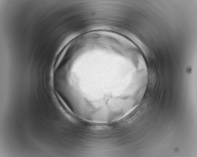 X0000101961290200808151307