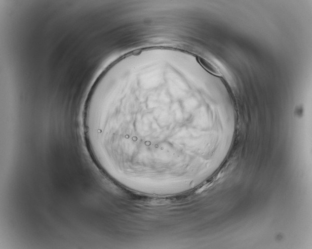 X0000101961291200808151306