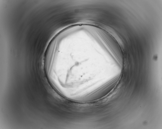X0000101961292200808151306